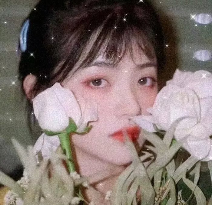 月鳞绮纪